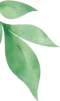 Imagen de Logo