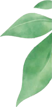 Imagen de Logo