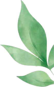 Imagen de Logo